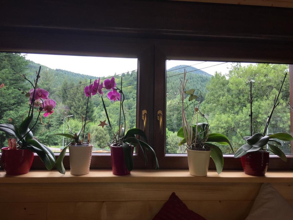 Chalet Du Champs Des Semeaux Wisches Dış mekan fotoğraf